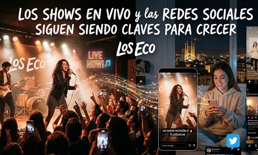 Público en un concierto